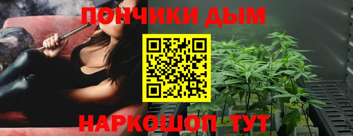 МАРИХУАНА OG Kush  Вход с VPN  Бахчисарай  Бошки Шишки планчик  Конопля OG Kush  Бошки марихуана Bruce Banner 